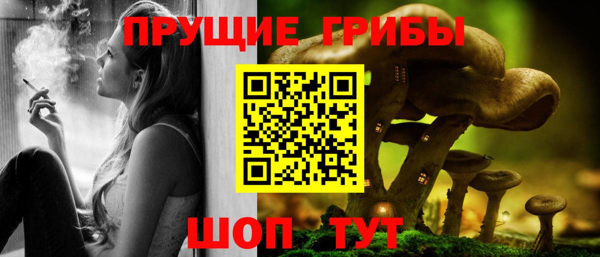 Псилоцибиновые грибы GOLDEN TEACHER Курчалой